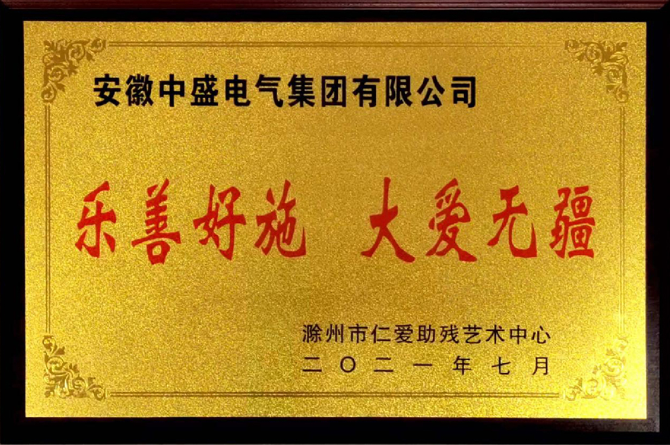 滁州市仁爱助残艺术中心赠