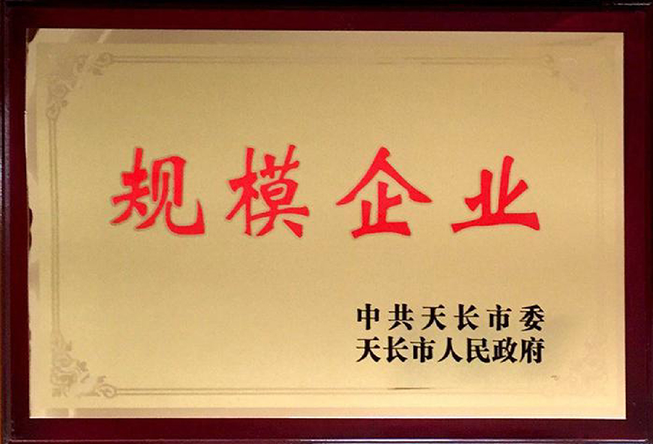 规模企业