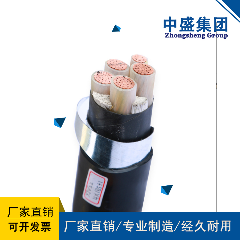 中盛铠装铜带屏蔽阻燃控制电缆ZRC-KVVP2-22 19*1.5